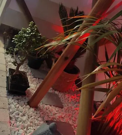 Les Souvenirs D'alsace Colmar