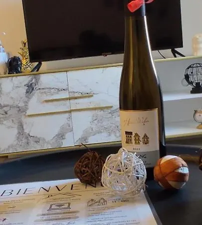 Les Souvenirs D'alsace Apartament