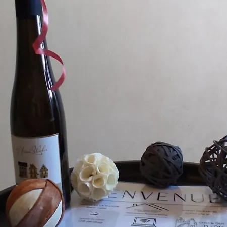 Les Souvenirs D'alsace Appartement